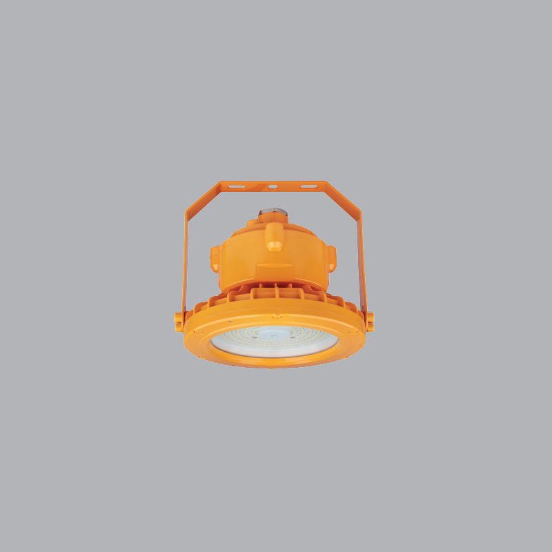 Đèn led chống nổ 60W MPE LEPR-60T/V/N dạng tròn 2 Đèn led chống nổ 60W MPE LEPR