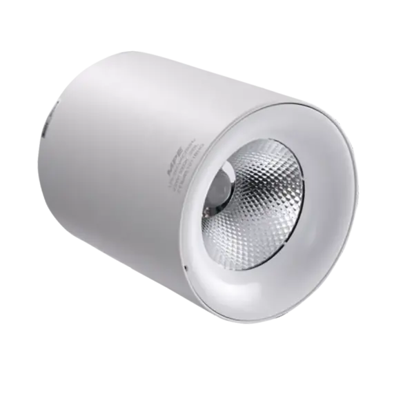 Đèn Downlight Tròn 25W MPE SDL lắp nổi