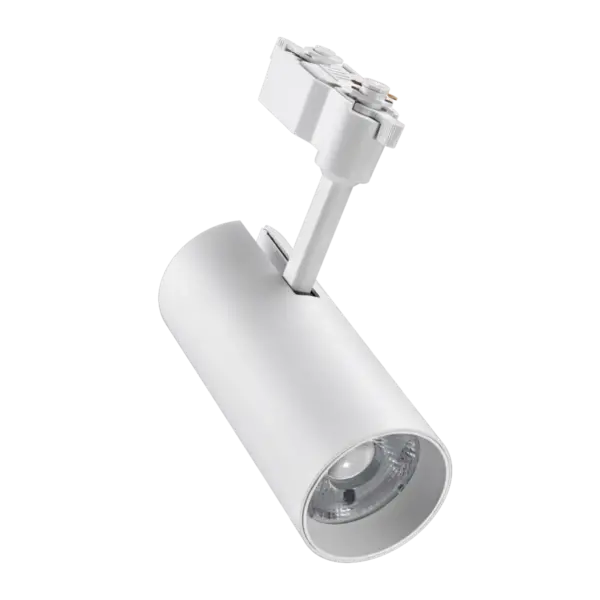 Đèn LED Chiếu Điểm 20W MPE TSL2 thanh ray