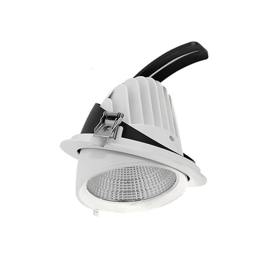Đèn LED âm trần chiếu điểm 20W MPE DLA-20N