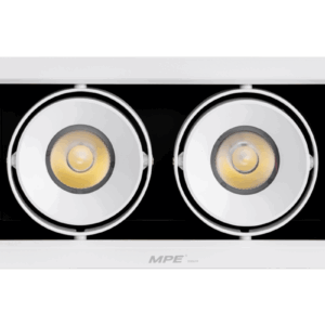 LED Downlight âm trần Chiếu điểm 2 đèn 20W ánh sáng trung tính DLS-220N