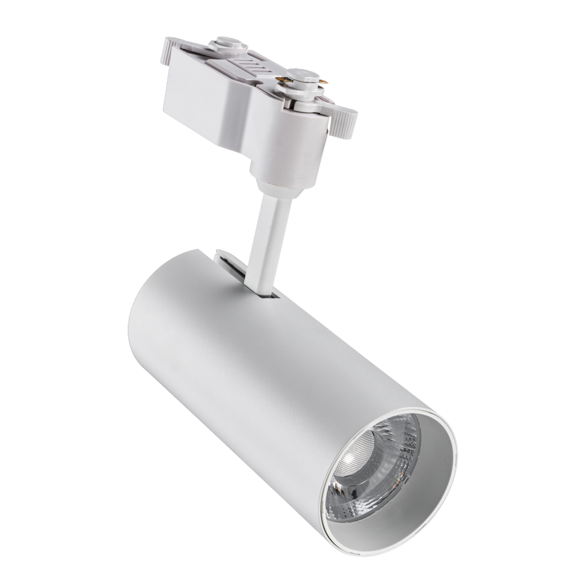 LED chiếu điểm gắn ray màu trắng 12W ánh sáng trung tính TSL2-12N