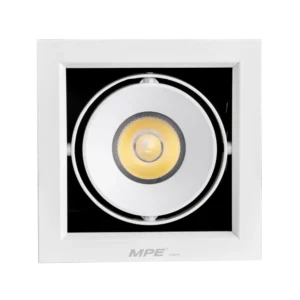 LED Downlight âm trần Chiếu điểm 1 đèn 20W ánh sáng vàng DLS-120V