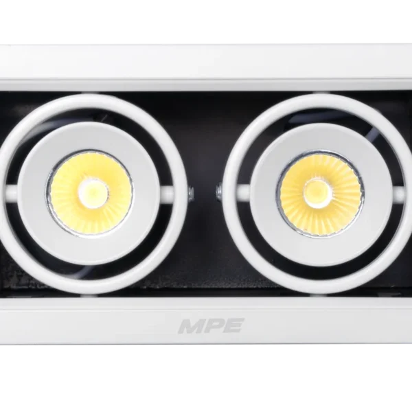 LED Downlight âm trần Chiếu điểm 2 đèn 7W ánh sáng trắng DLS-207T