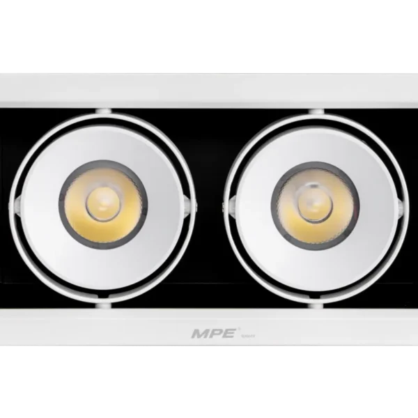 LED Downlight âm trần Chiếu điểm 2 đèn 20W ánh sáng trắng DLS-220T