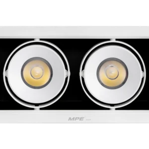 LED Downlight âm trần Chiếu điểm 2 đèn 20W ánh sáng vàng DLS-220V