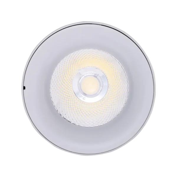 LED chiếu điểm gắn nổi 25W ánh sáng trắng SDL-25T