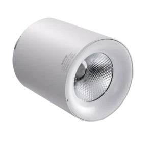 LED chiếu điểm gắn nổi 25W ánh sáng trắng SDL-25T