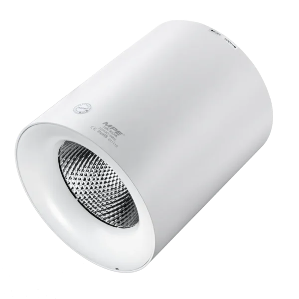 LED chiếu điểm gắn nổi 25W ánh sáng trắng SDL-25T